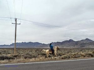 female rider in New Mexico